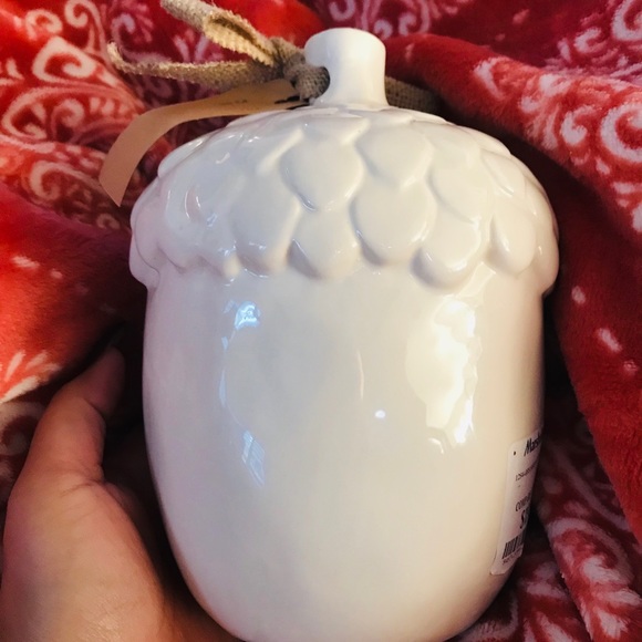 FLY Acorn - Picture 2 of 4